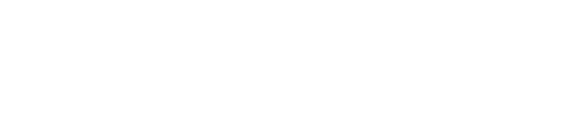 Network X Americas Logo